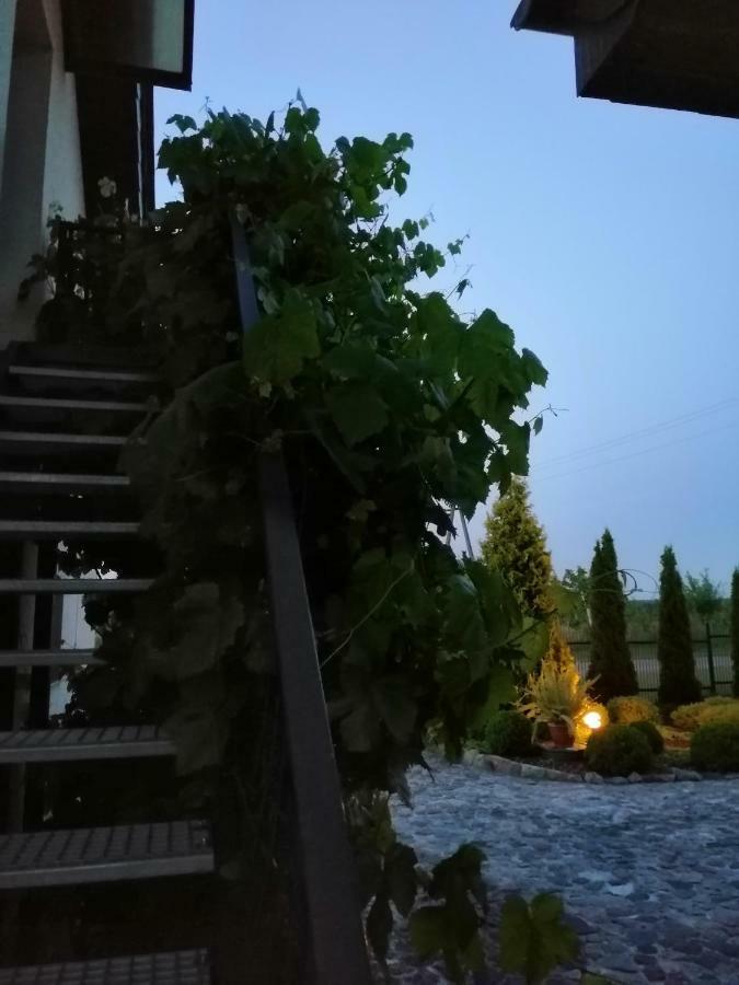 Ferienwohnung Sloneczne Zacisze Wicko  Exterior foto