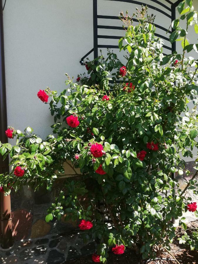 Ferienwohnung Sloneczne Zacisze Wicko  Exterior foto